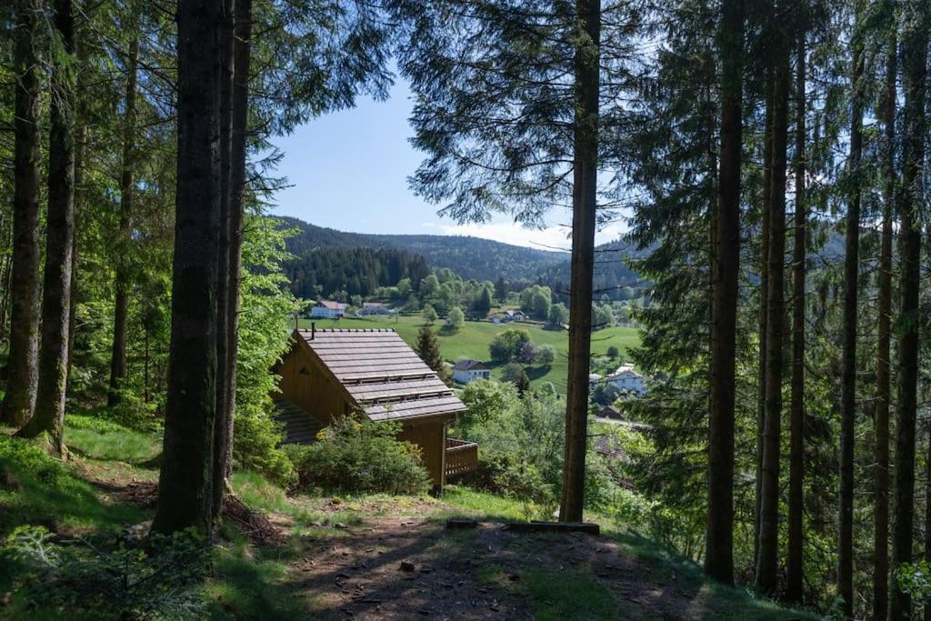 ג'רארדמר Charmant Chalet Cosy & Paisible En Pleine Nature - Refuge Idyllique Pour 5P מראה חיצוני תמונה